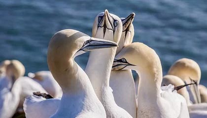 爱游戏登录入口-中国青少年篮球发展政策落实现状及优化方案研究，青少年篮球发展现状及对策研究