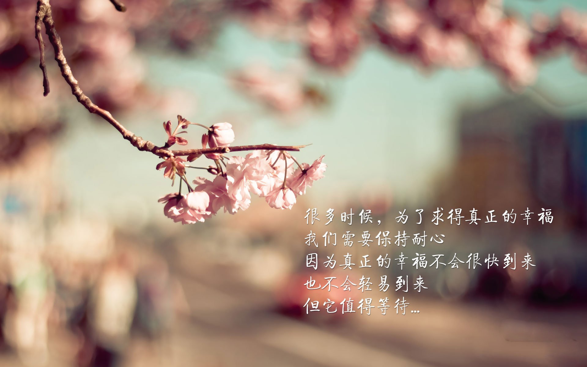 未来足球赛事将实现5G高清直播，体验无缝沉浸式观赛，现在直播足球视频
