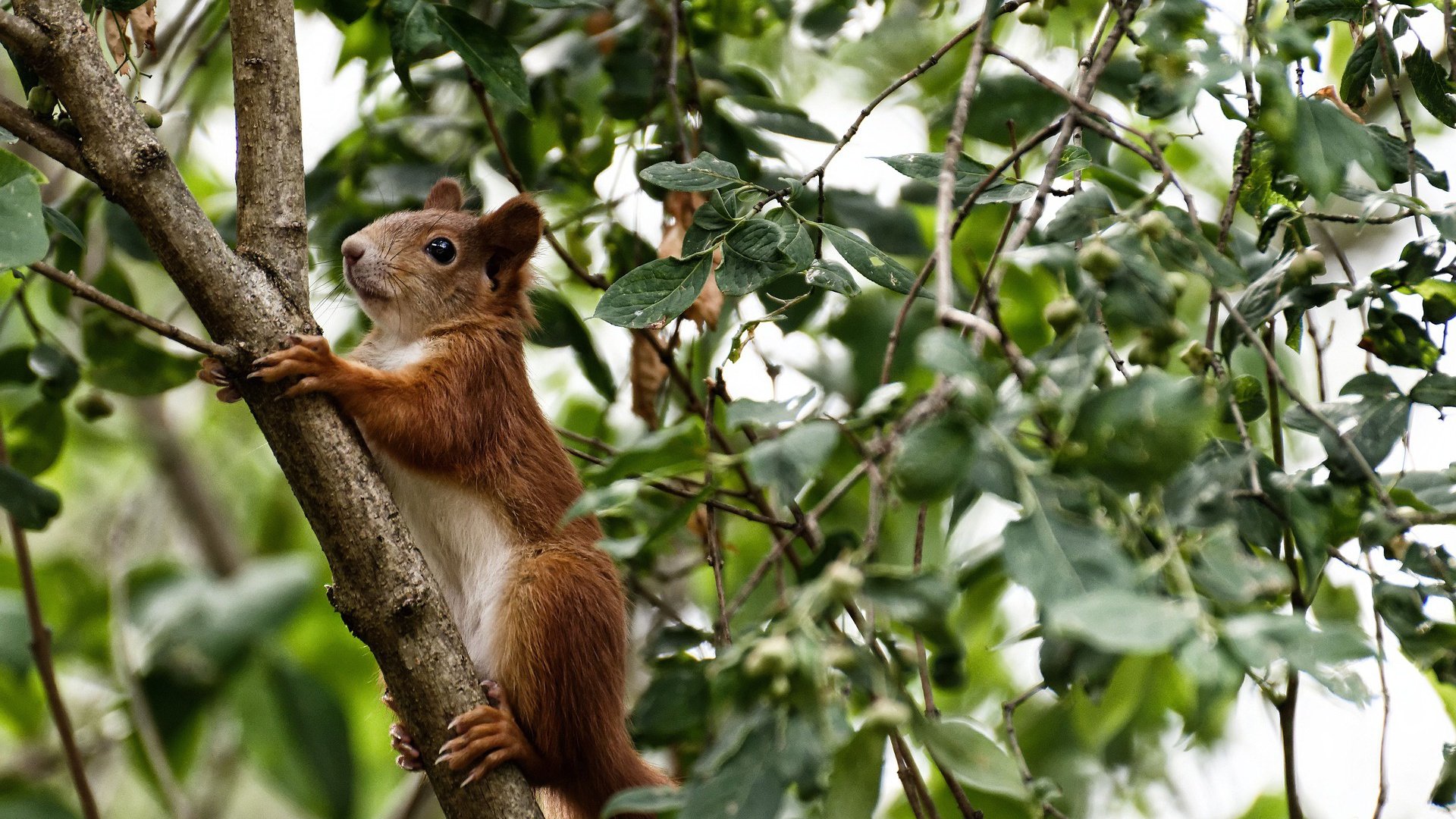 爱游戏在线服务-“金牛区城北体育馆：运动舞蹈赛场精彩连连，舞者们挑战节奏与力量极限”