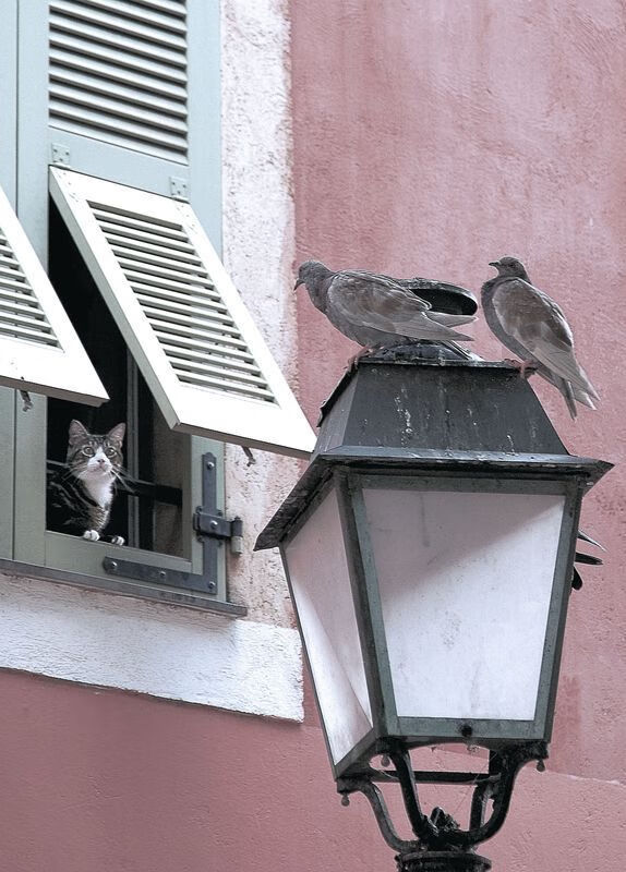 五大联赛即时技术统计与传统赛评数据融合趋势,五大联赛各种记录