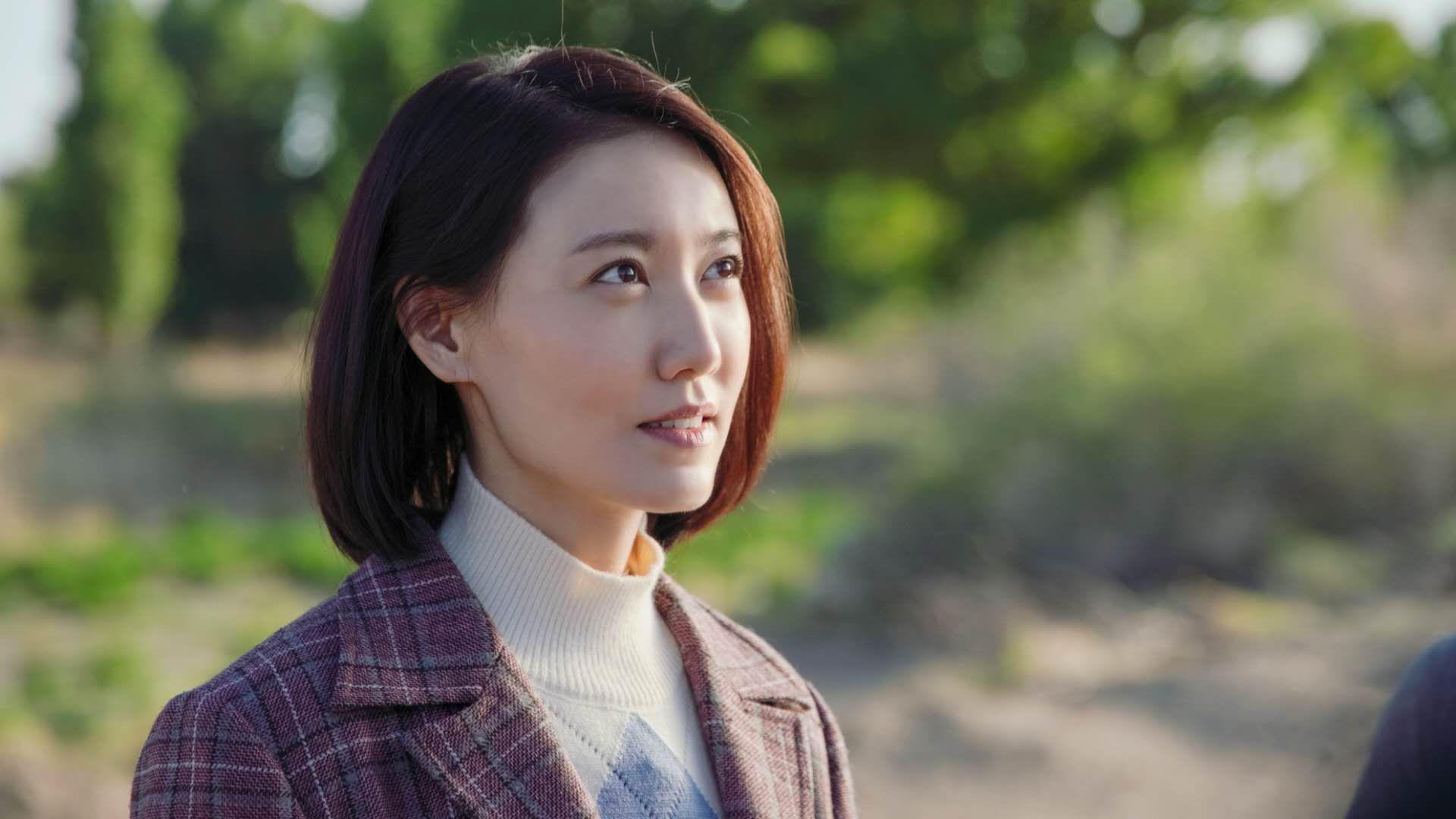 亚冠联赛多国解说团队合作提升传播力,亚冠介绍